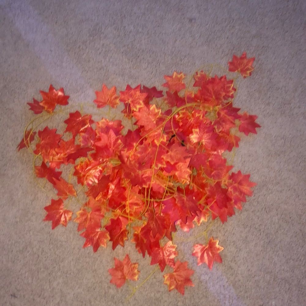 Fall Leaves to hang!!